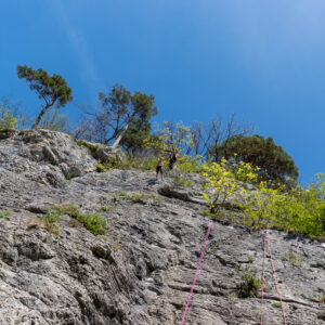 ClimbingCourseAE-30