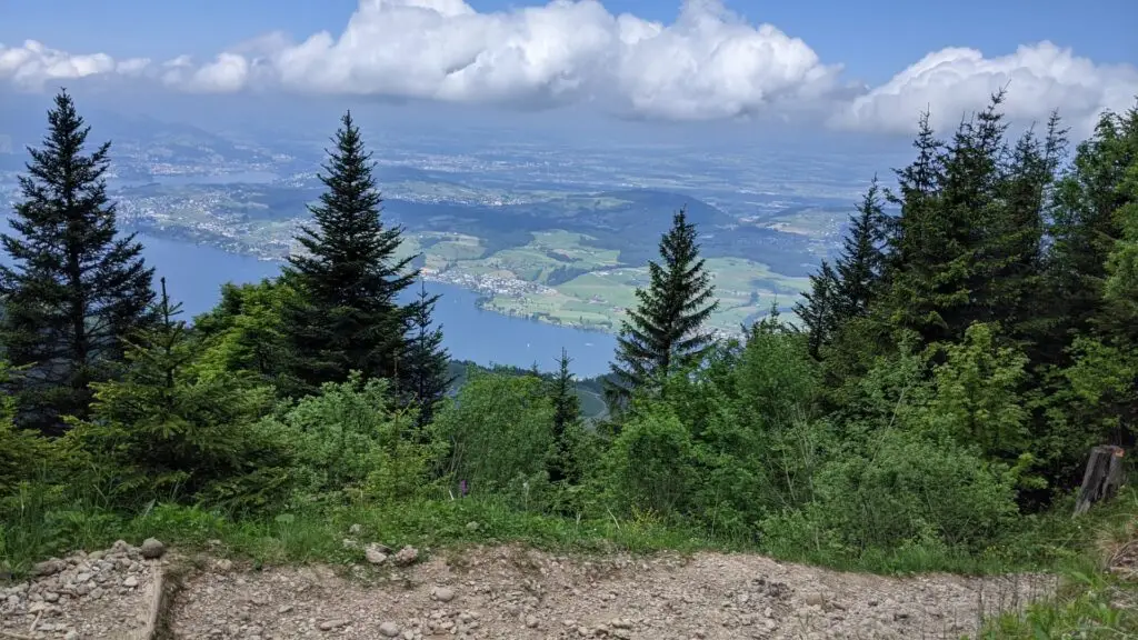 View from Mt. Rigi showing a lake through the trees